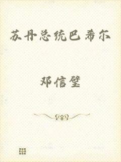 苏丹总统巴希尔