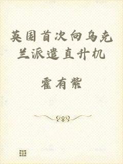 英国首次向乌克兰派遣直升机