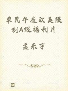 草民午夜欧美限制A级福利片