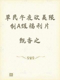 草民午夜欧美限制A级福利片