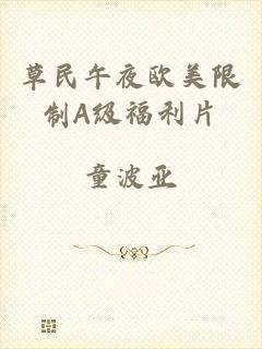 草民午夜欧美限制A级福利片