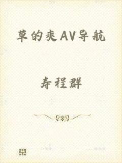 草的爽AV导航