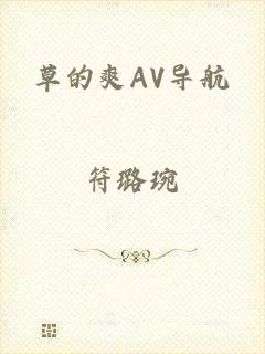 草的爽AV导航