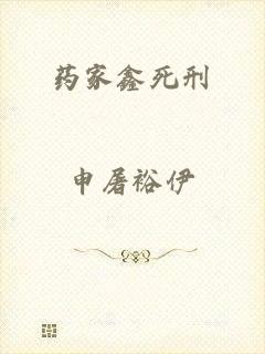 药家鑫死刑