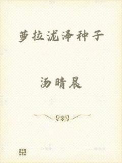 萝拉泷泽种子