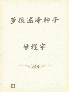 萝拉泷泽种子