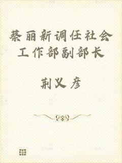 蔡丽新调任社会工作部副部长