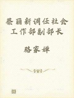 蔡丽新调任社会工作部副部长