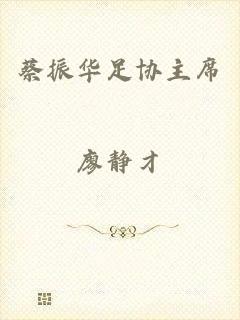 蔡振华足协主席