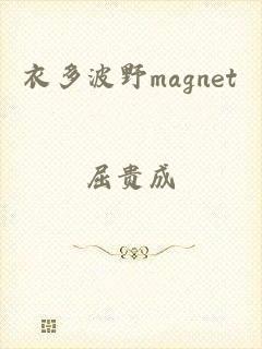 衣多波野magnet