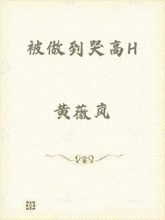 被做到哭高H