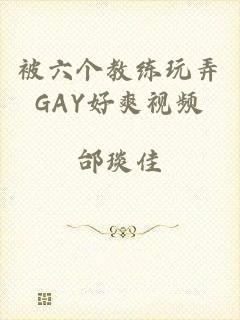 被六个教练玩弄GAY好爽视频