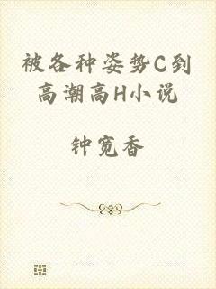 被各种姿势C到高潮高H小说