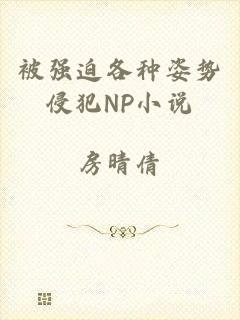 被强迫各种姿势侵犯NP小说