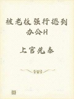 被老板强行摁到办公H