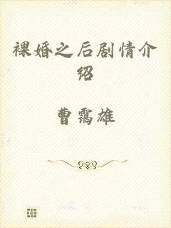 裸婚之后剧情介绍
