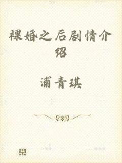 裸婚之后剧情介绍