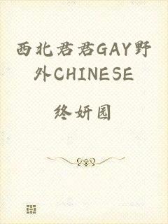 西北君君GAY野外CHINESE