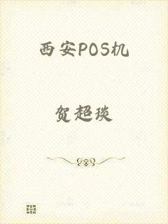 西安POS机