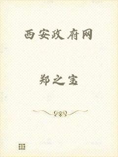 西安政府网