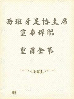 西班牙足协主席宣布辞职