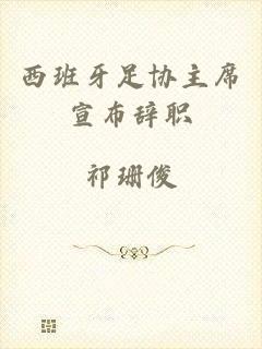 西班牙足协主席宣布辞职