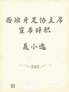 西班牙足协主席宣布辞职