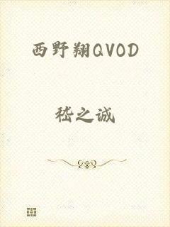 西野翔QVOD