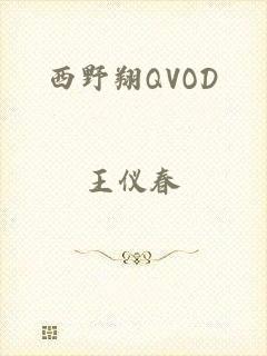 西野翔QVOD