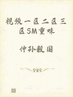 视频一区二区三区SM重味