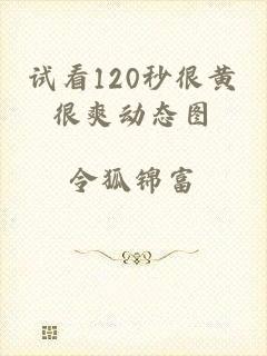 试看120秒很黄很爽动态图