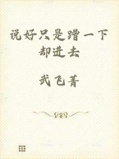 说好只是蹭一下却进去