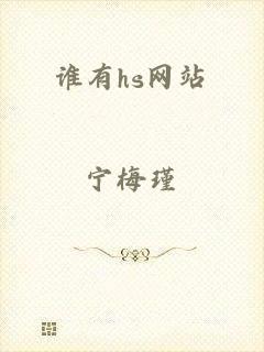 谁有hs网站