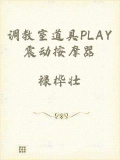 调教室道具PLAY震动按摩器