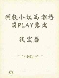 调教小奴高潮惩罚PLAY露出