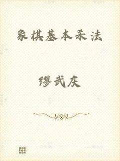 象棋基本杀法