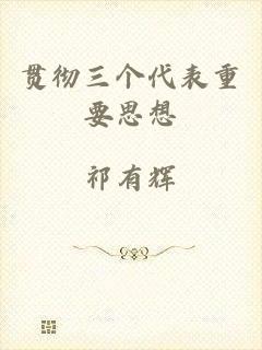 贯彻三个代表重要思想