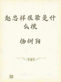 赵忠祥很紧是什么梗
