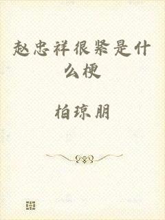 赵忠祥很紧是什么梗