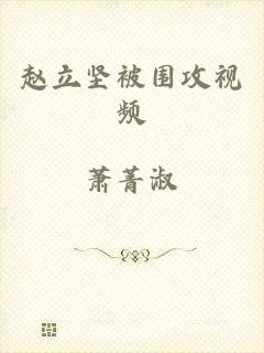 赵立坚被围攻视频