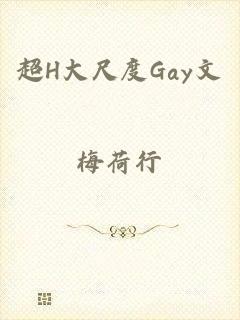 超H大尺度Gay文