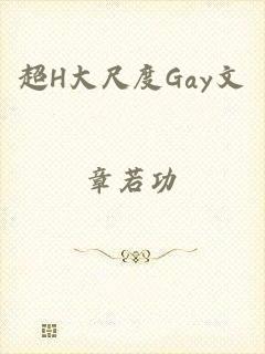 超H大尺度Gay文