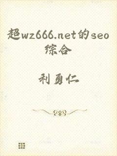 超wz666.net的seo综合