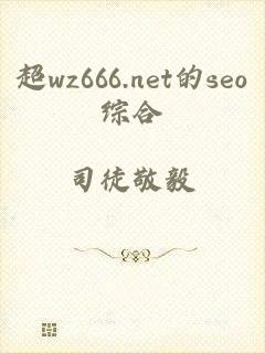 超wz666.net的seo综合