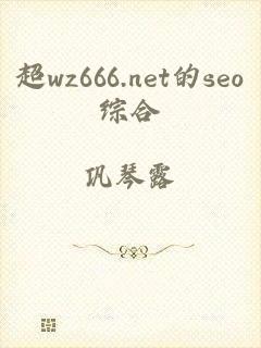 超wz666.net的seo综合