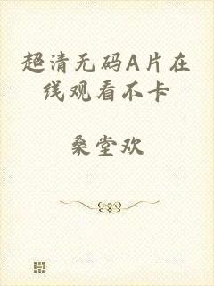 超清无码A片在线观看不卡