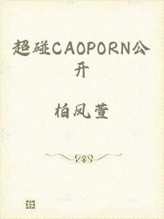 超碰CAOPORN公开