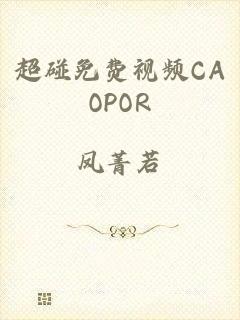 超碰免费视频CAOPOR
