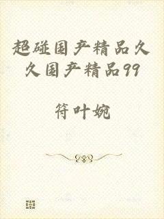 超碰国产精品久久国产精品99
