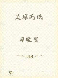 足球流氓